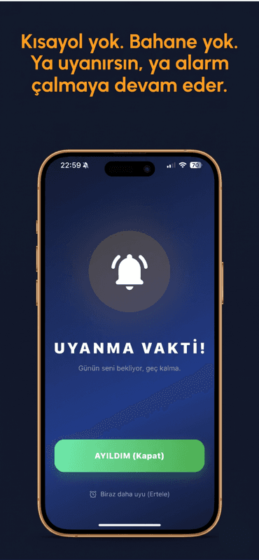 Proje Görseli 3